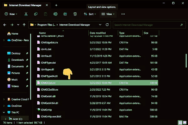 internet download manager