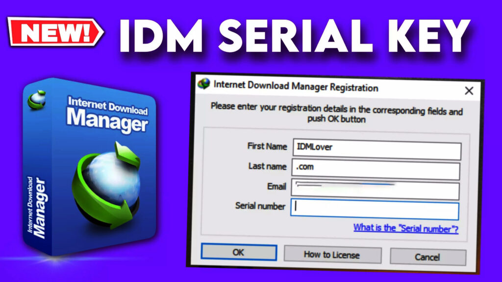 internet download manager